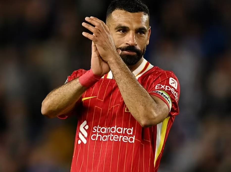 华体会体育迷APP美国威斯康星大学密尔沃基分校